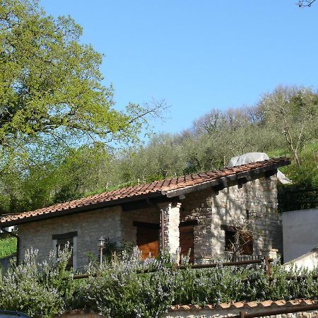 Вілла Complesso Agrituristico La Ciriola П'єділуко Екстер'єр фото